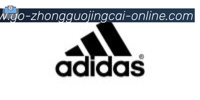 中国竞彩网合作伙伴